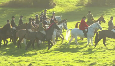 Boxing Day trail hunts take place as ban looms