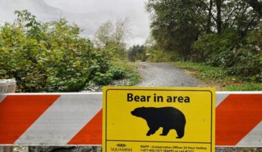 A sign warning of a bear in the area is shown in Squamish, B.C., Friday, Nov. 4, 2022. THE CANADIAN PRESS/Amy Smart