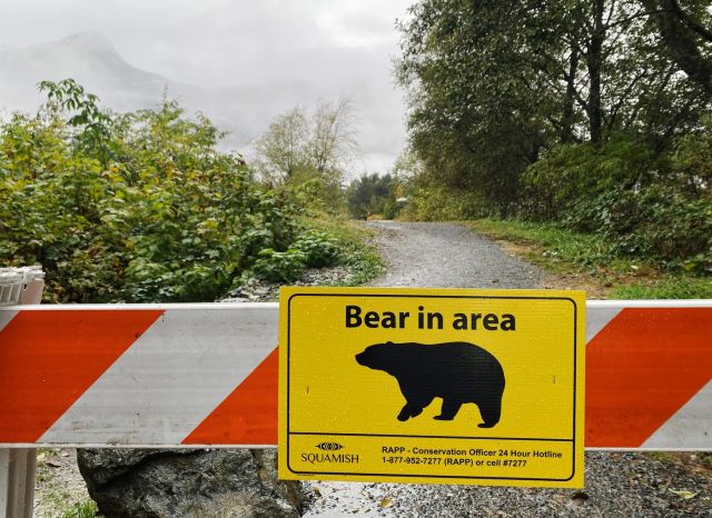 A sign warning of a bear in the area is shown in Squamish, B.C., Friday, Nov. 4, 2022. THE CANADIAN PRESS/Amy Smart