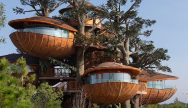 Modular Forest Nests Reimagine the Treehouse for Adults