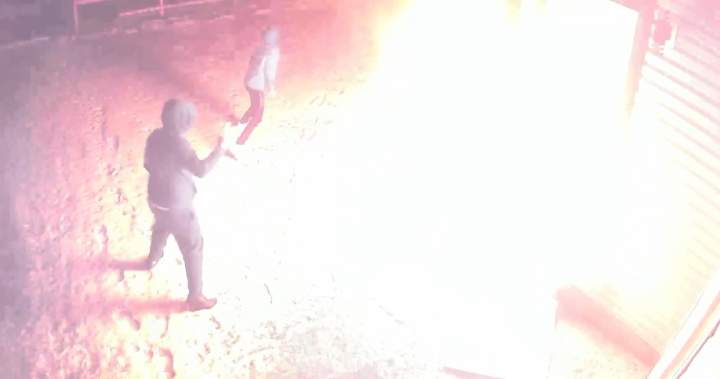 ‘Project Gaslight’ guilty plea sends Edmonton man to prison