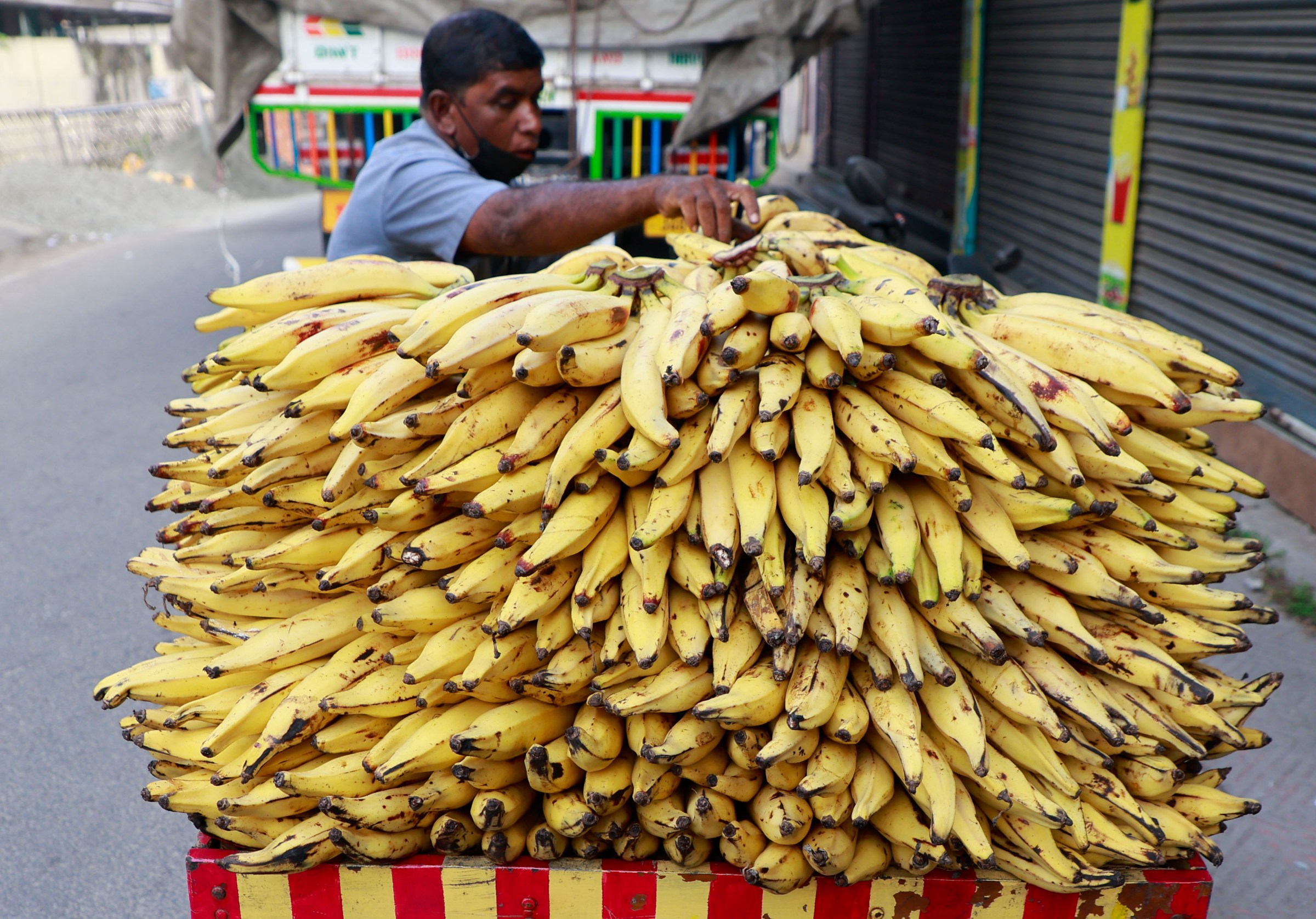 A vendor stacks bananas into his cart at a roadside in Kochi, India, on December 27, 2025. (Photo by Sivaram Venkitasubramanian/NurPhoto via Getty Images)