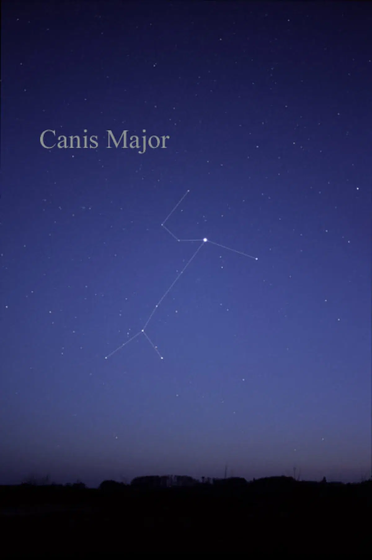 Sirius dominates Canis Major, but the end of the front leg is marked by Beta and Epsilon Canis Majoris, stars that are much larger, and were once close enough to be much brighter.
Image credit: Till Credner via Wikimedia Commons (CC BY-SA 3.0)