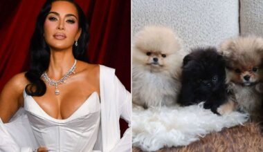 Kim Kardashian Called Out by PETA for Gifting Her Kids Puppies for Christmas