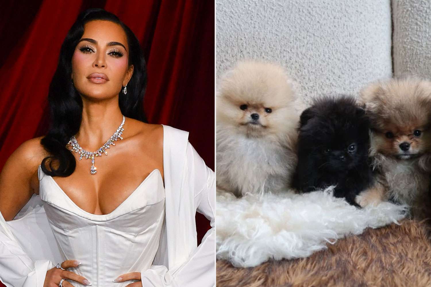 Kim Kardashian Called Out by PETA for Gifting Her Kids Puppies for Christmas