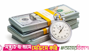 Foreign loan pledges jump 133% to $1.219b in first 5 months of FY26