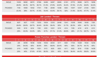Naoya Inoue vs. Alan Picasso: CompuBox Punch Stats
