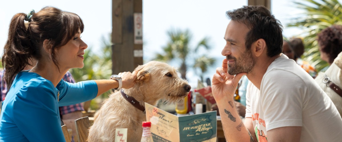 Merv movie review & film summary (2025)