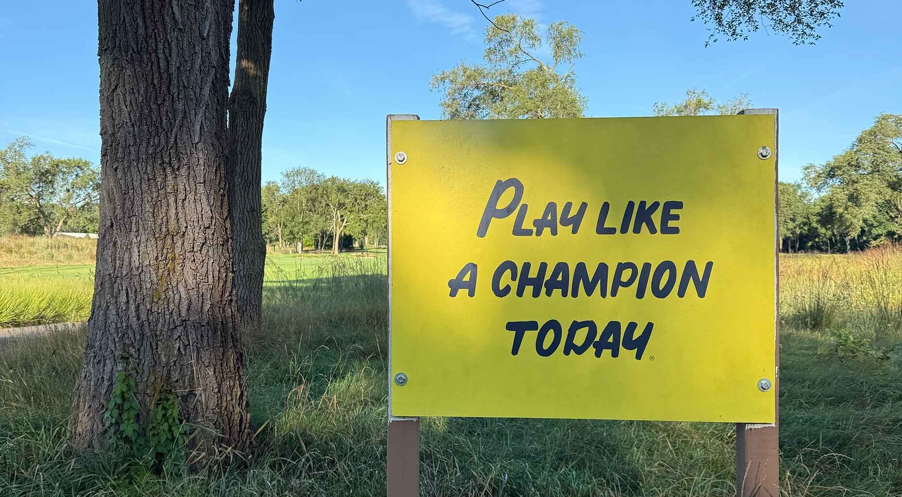 My favorite course from 2025 made me want to go D1