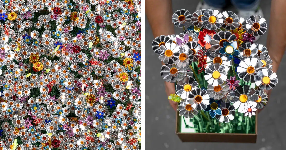8,800 Mirrored Flowers Reflect the Diversity of Dutch Society