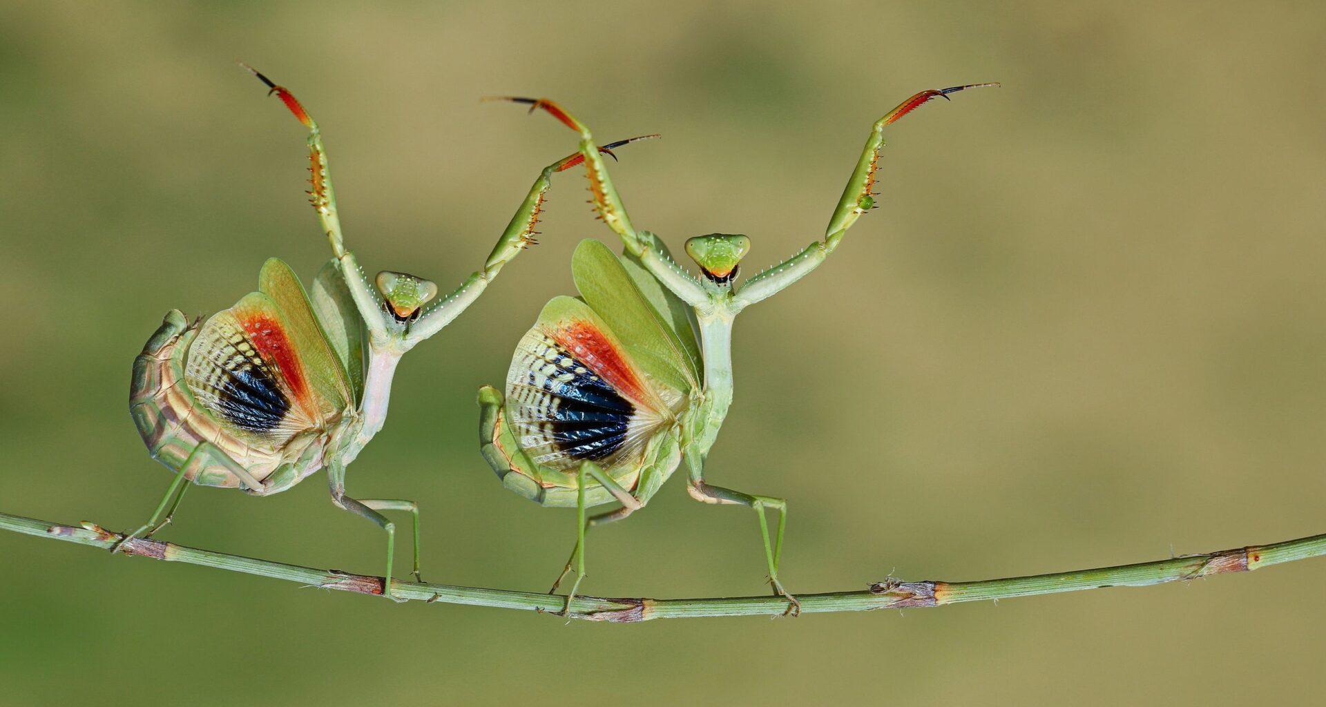 10 extraordinary award-winning photos of 2025 you need to see