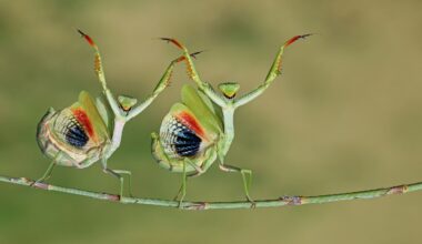 10 extraordinary award-winning photos of 2025 you need to see