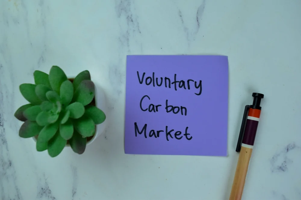 Top Forecasts and What They Mean for Investors • Carbon Credits