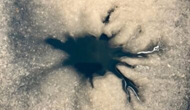 Scientists Intrigued by Large Spider-Like Blob on Europa