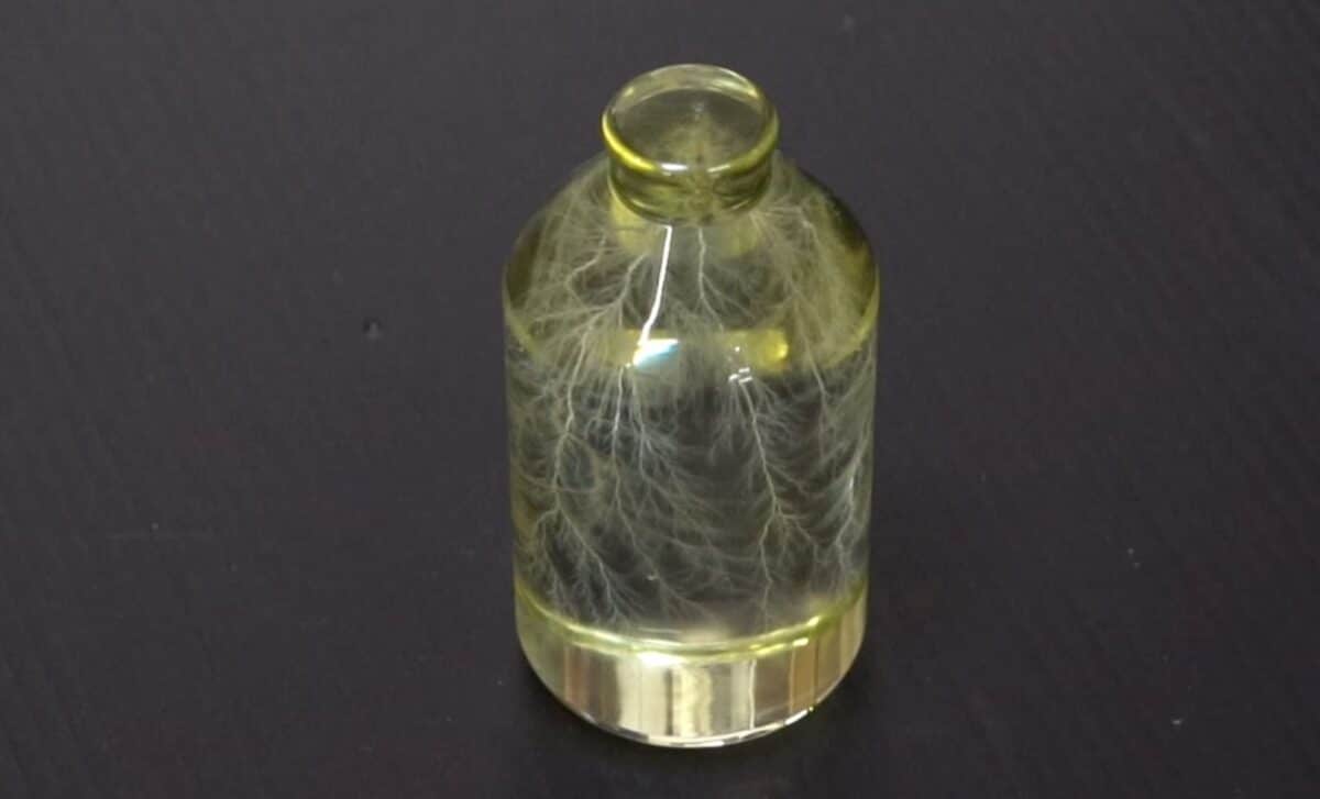 The Branching Lightning Patterns Throughout The Acrylic Cylinder