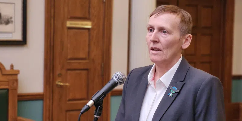 Health Minister Directs NLHS to Address Issues with Reproductive Services at Hospital in HV-GB