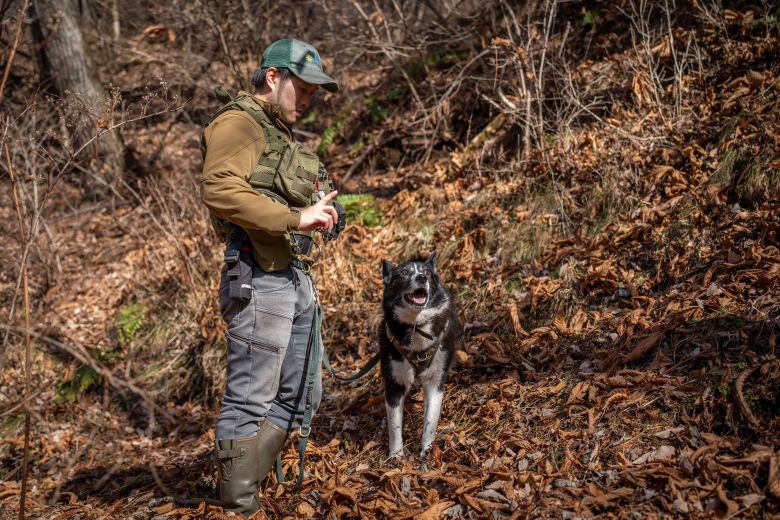 Picchio dog training.