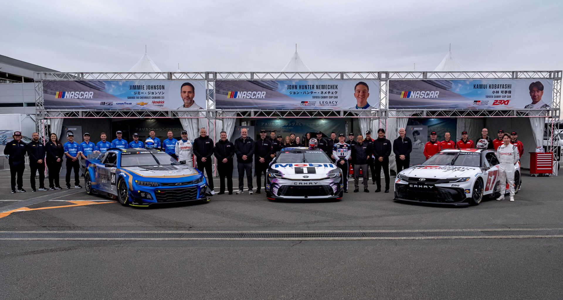 Best New Zealand Online Casinos