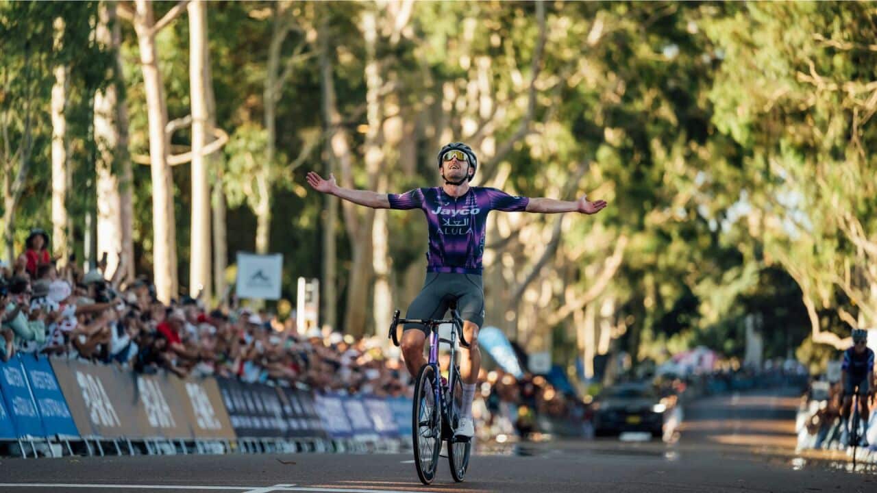 Dakar Rally 2024.jpg