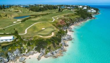 BTA inked $32m in contracts this year - The Royal Gazette