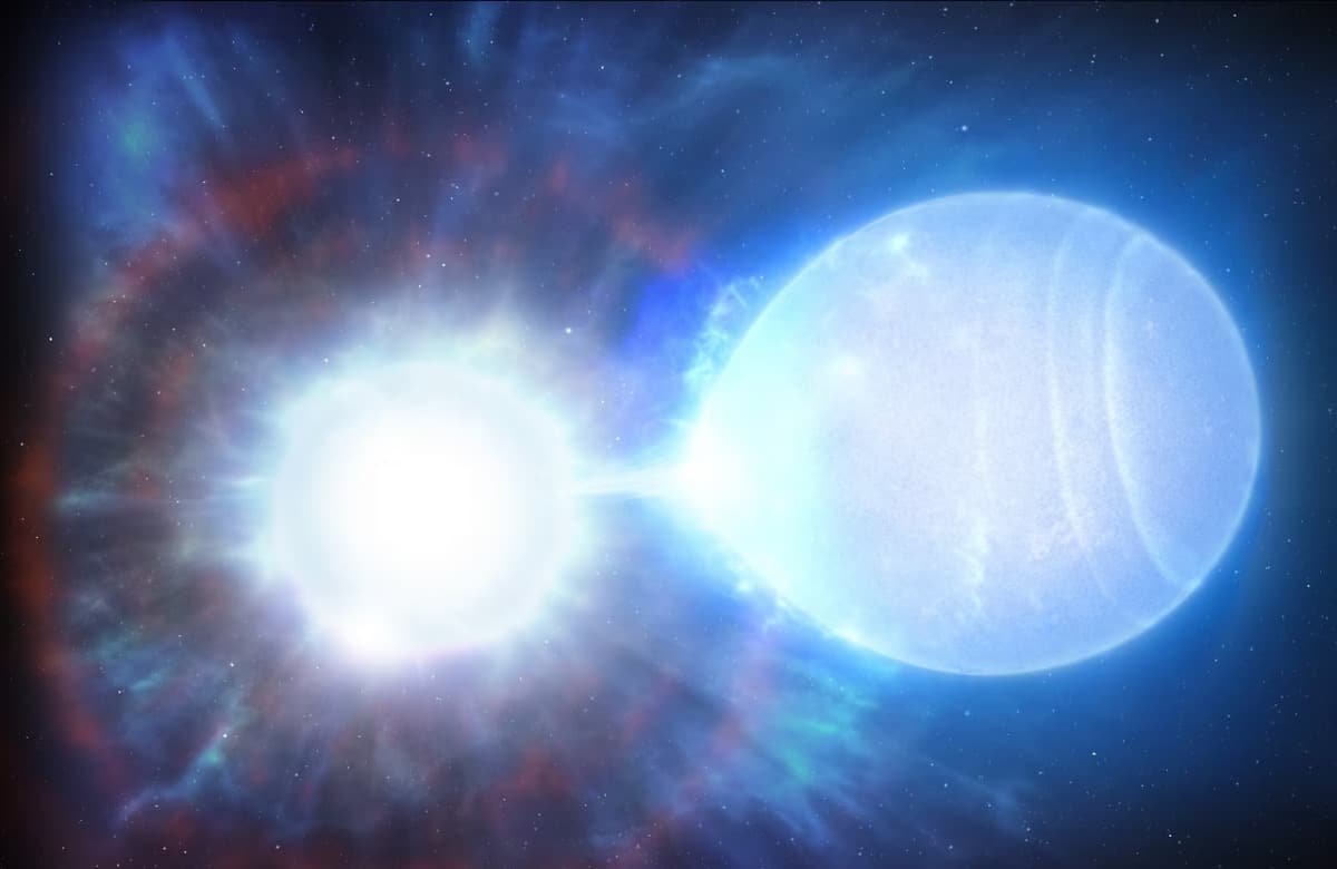 white dwarf supernova