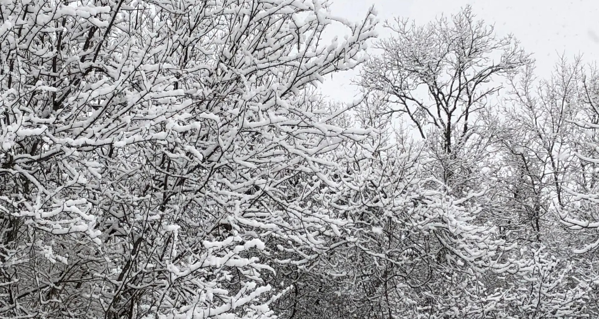Snow and blowing snow Boxing Day