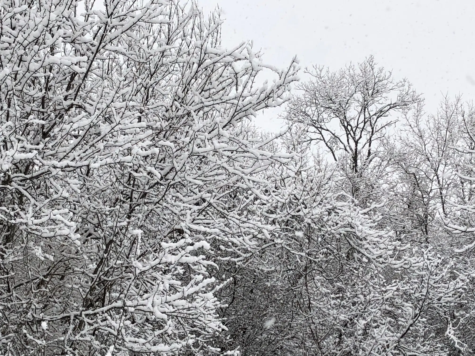 Snow and blowing snow Boxing Day