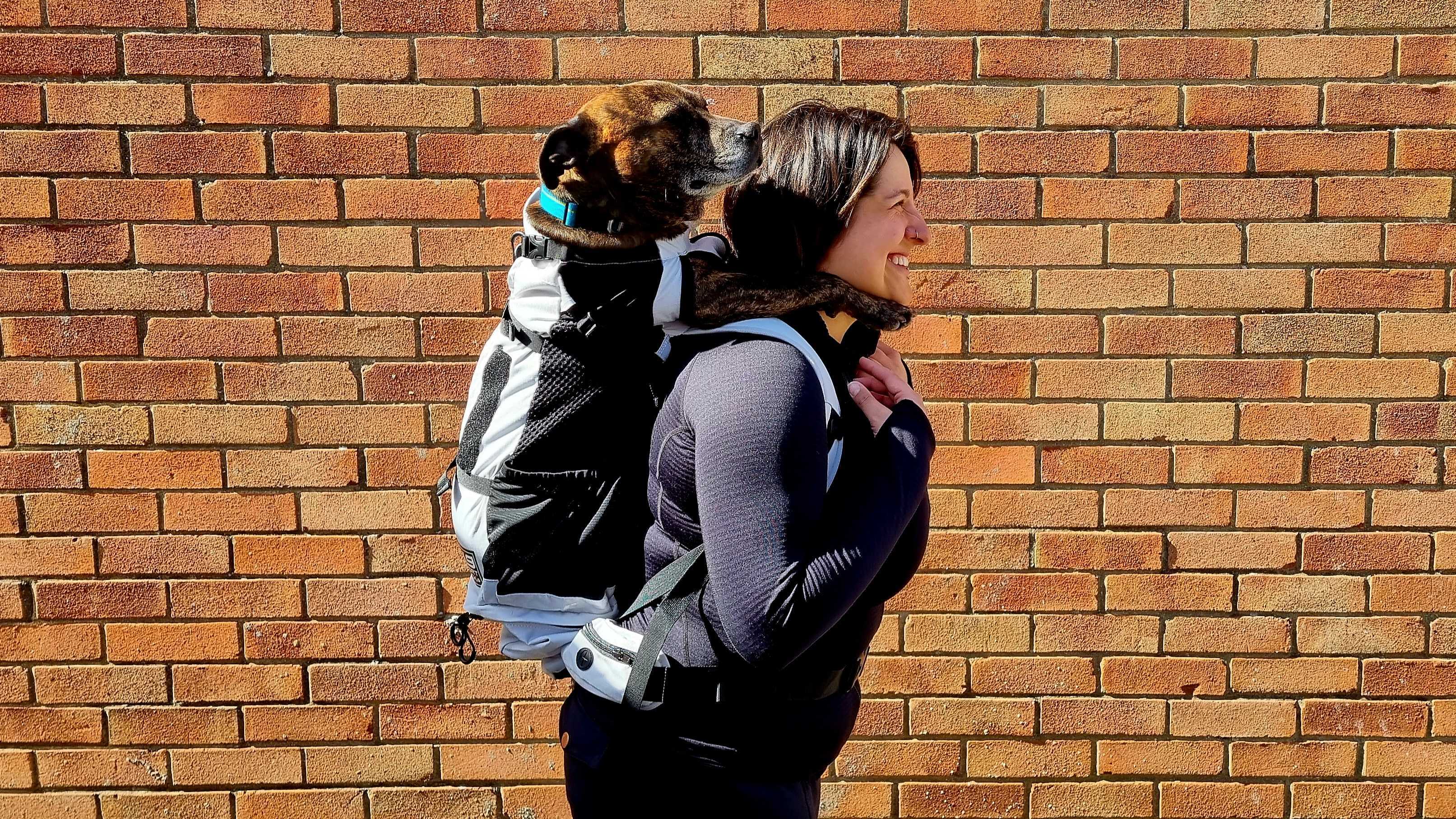 A woman in front of a brick wall carries a backpack with a dog in it