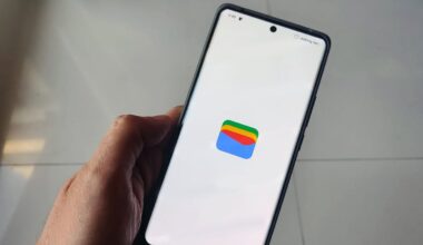 Google Wallet app on loading screen