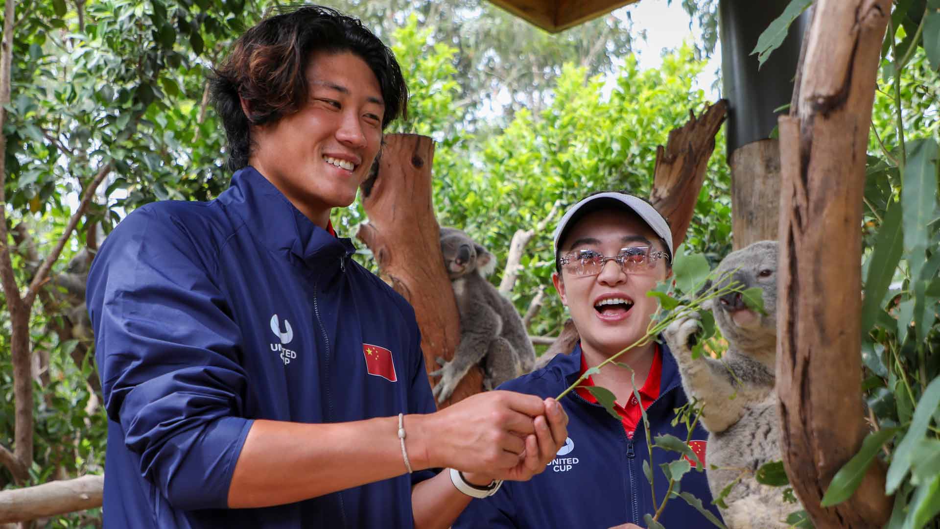 Zhang Zhizhen and Zhu Lin feed a koala at the Sydney Zoo.