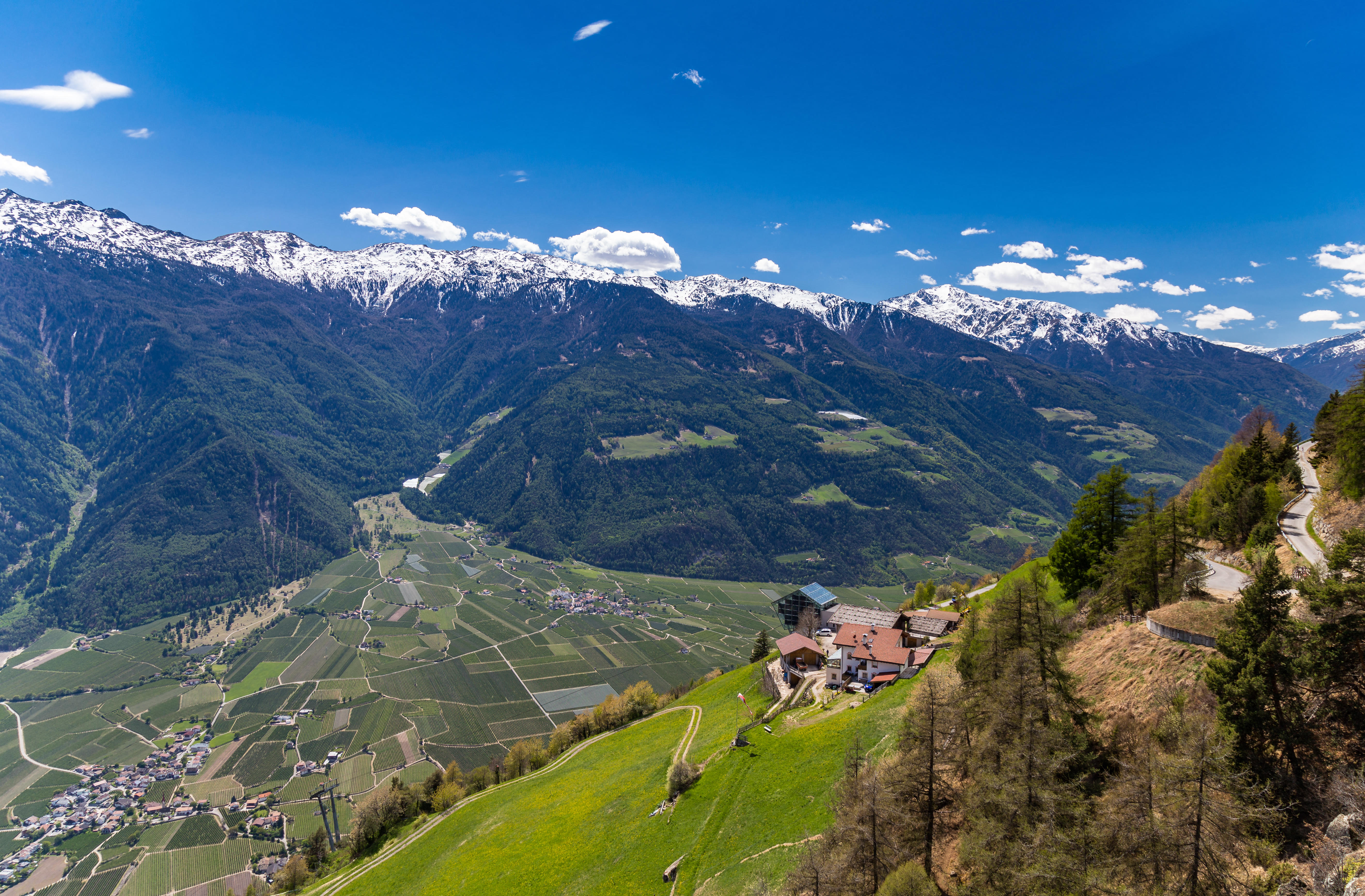 Overlooking Vinschgau Valley with snow-capped mountains and fields of vineyards.