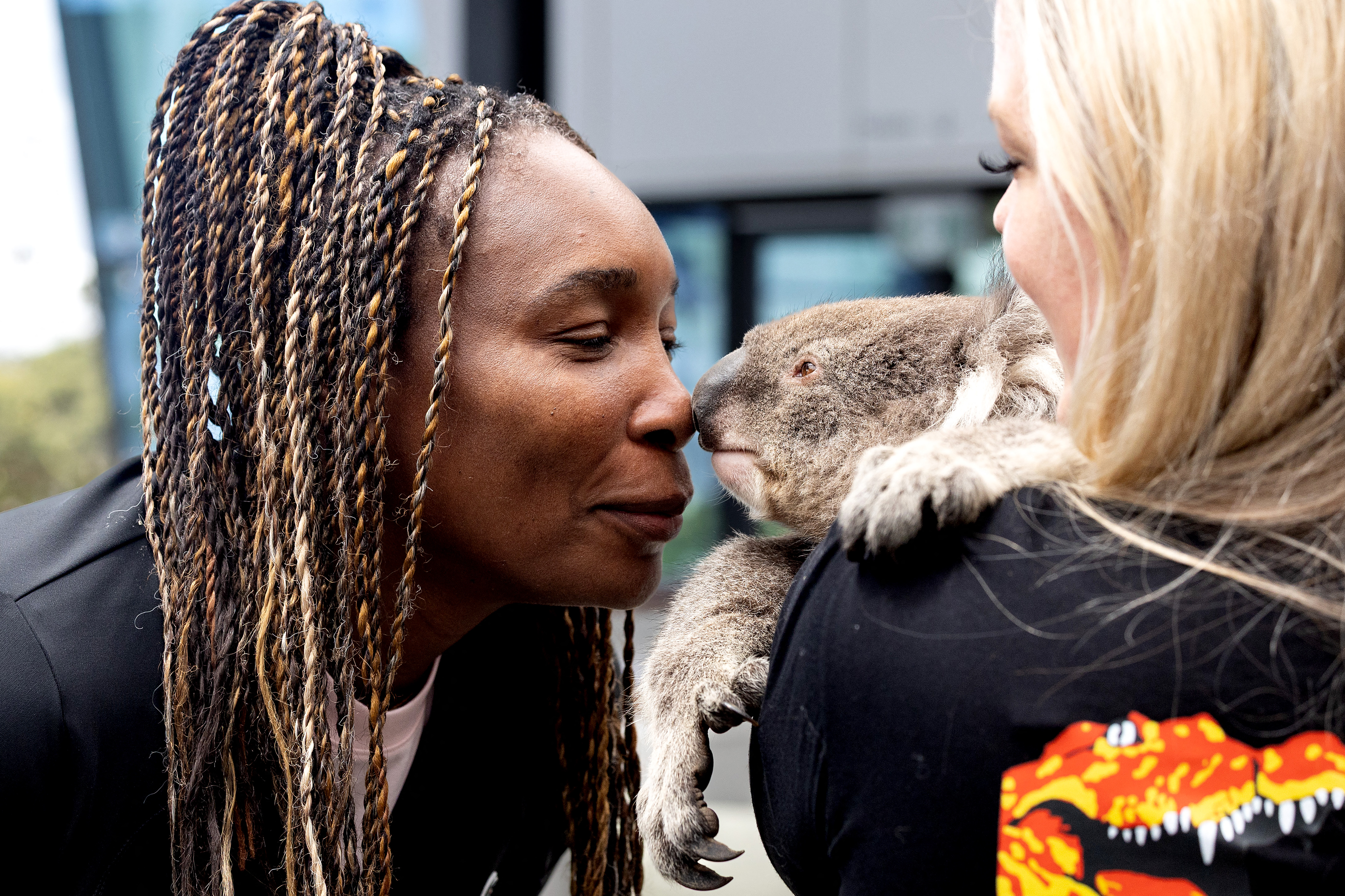 Venus Williams and a koala touching noses.
