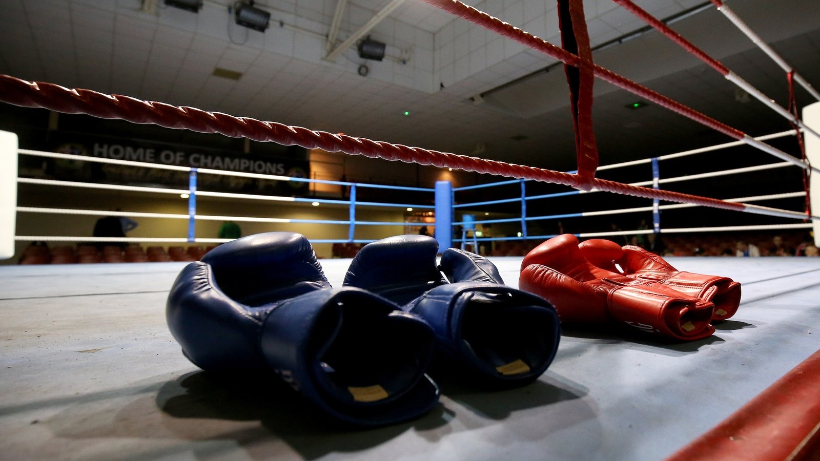 IABA becomes Boxing Ireland in rebrand