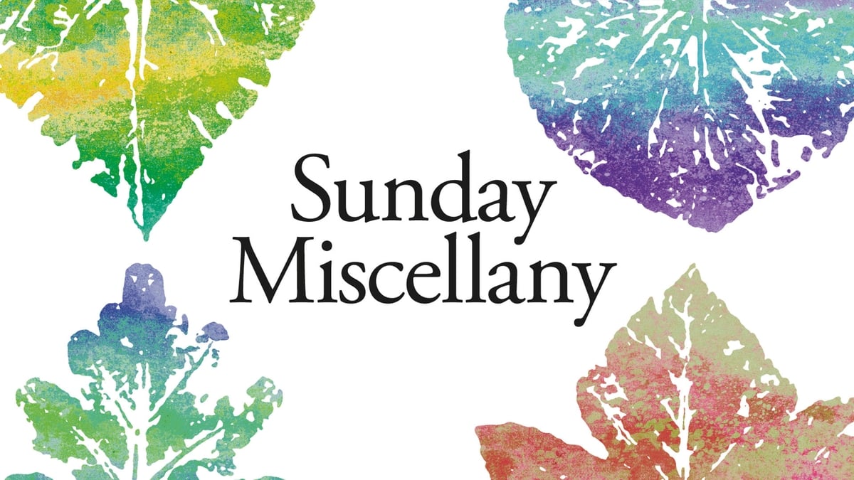 Sunday Miscellany Sunday 25 January 2026
