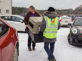 Two people carrying animal crate