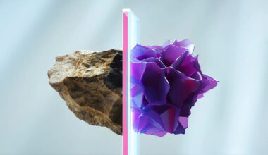 Scientists Found a Paradox in Evolution—and It May Become the Next Rule of Biology