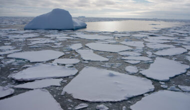 Entering the Antarctic Sea Ice, and a New World