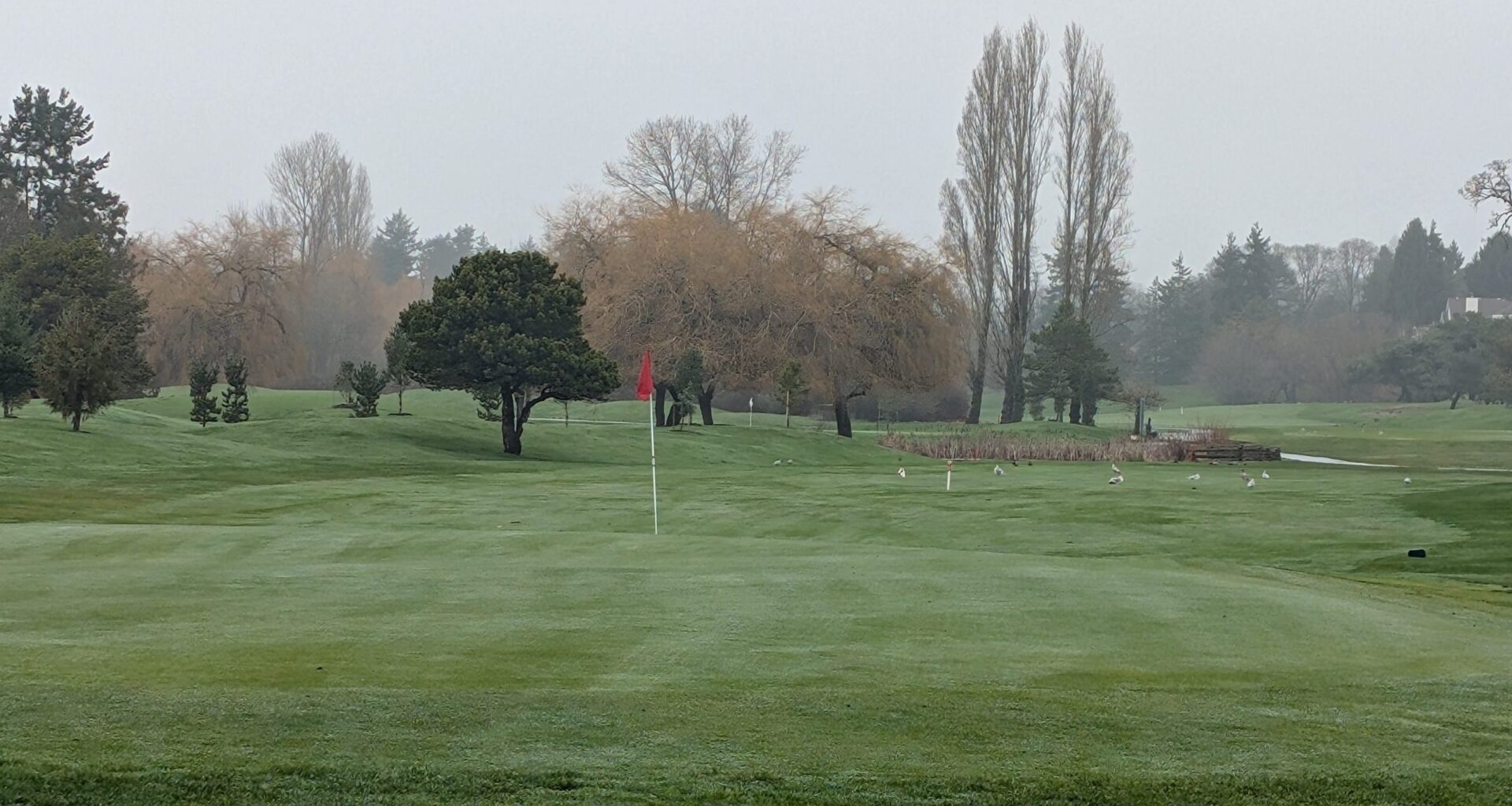 Saanich council approves fee increases at Cedar Hill Golf Course