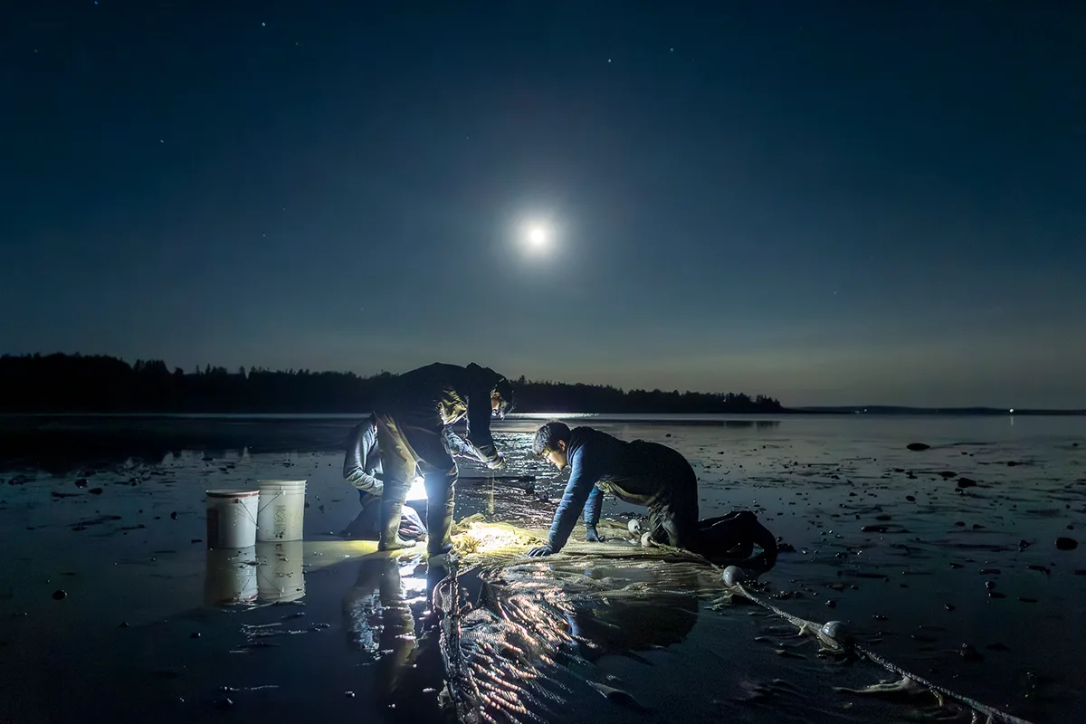 Three people on a beach looking in fishing net.