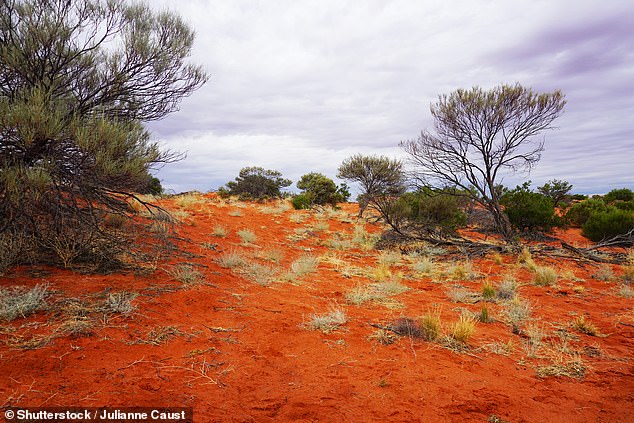 Outback South Australia, near Roxby Downs, is experiencing record temperatures