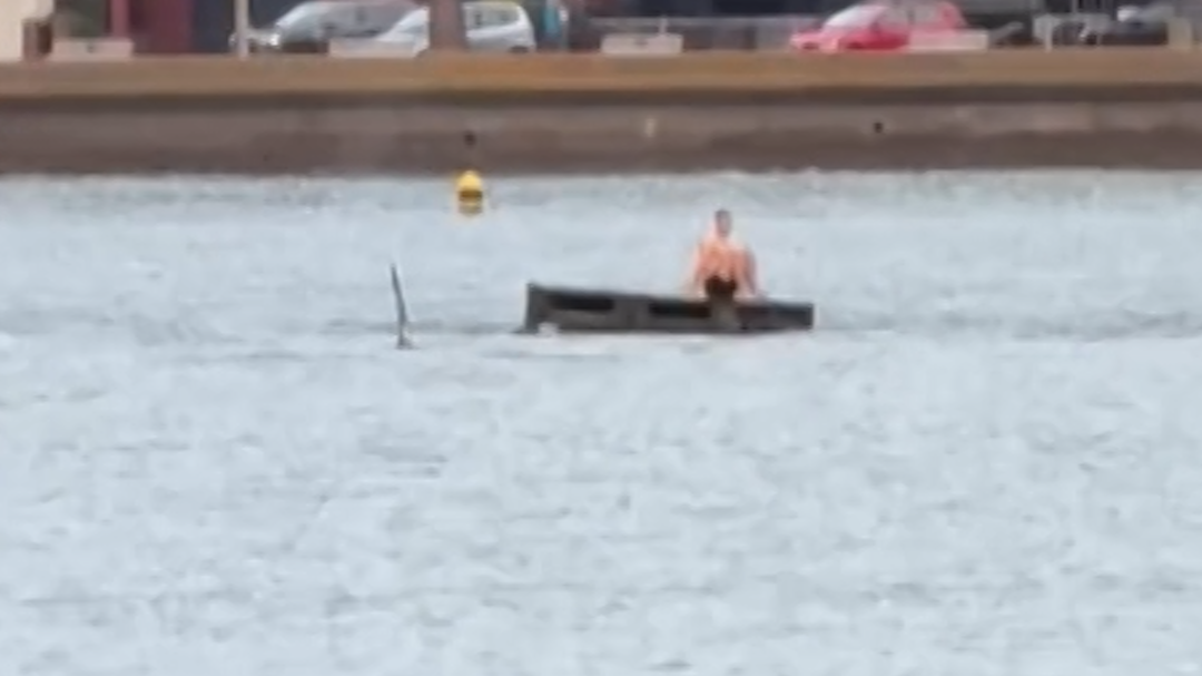 116438_Sunbather_Orcas vrtc thumb cln.png