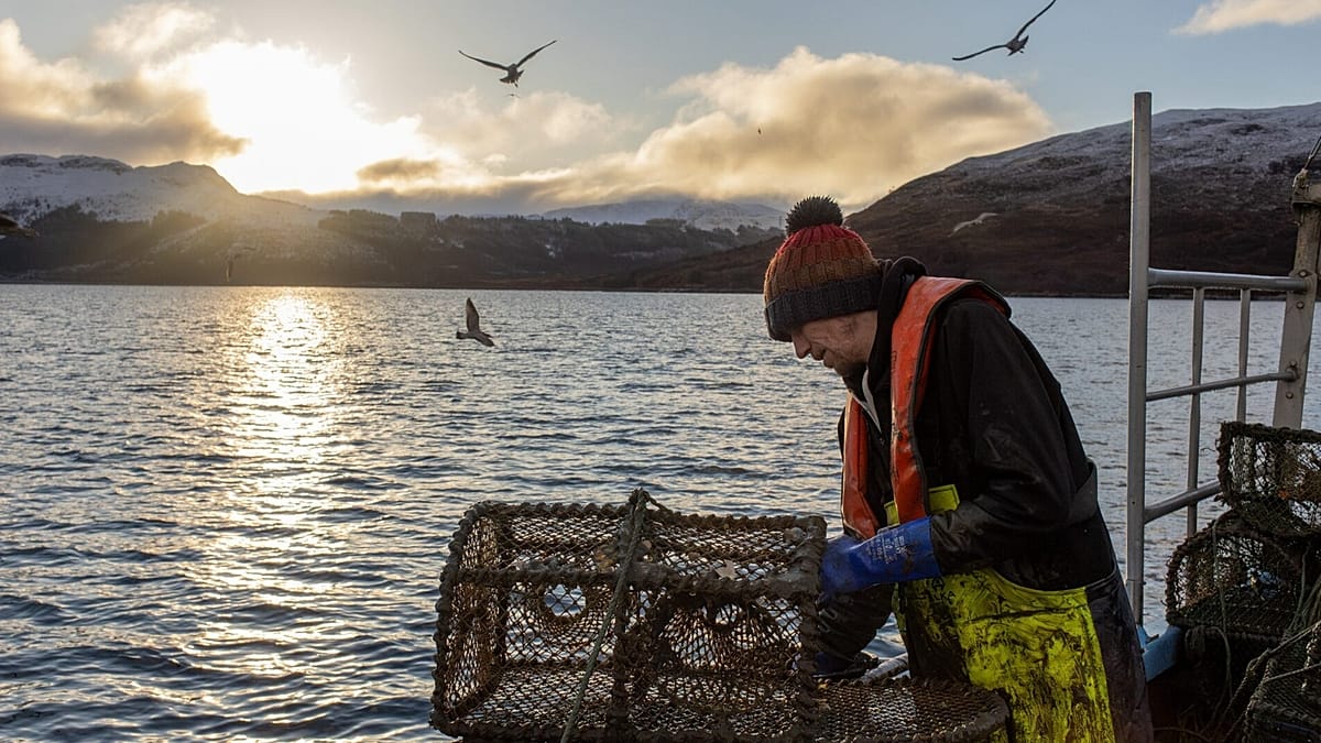 Scotland protects more than a third of its seas. Why is trawling still allowed?
