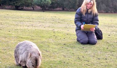 “New study finds square feces may deliver information” – Improbable Research