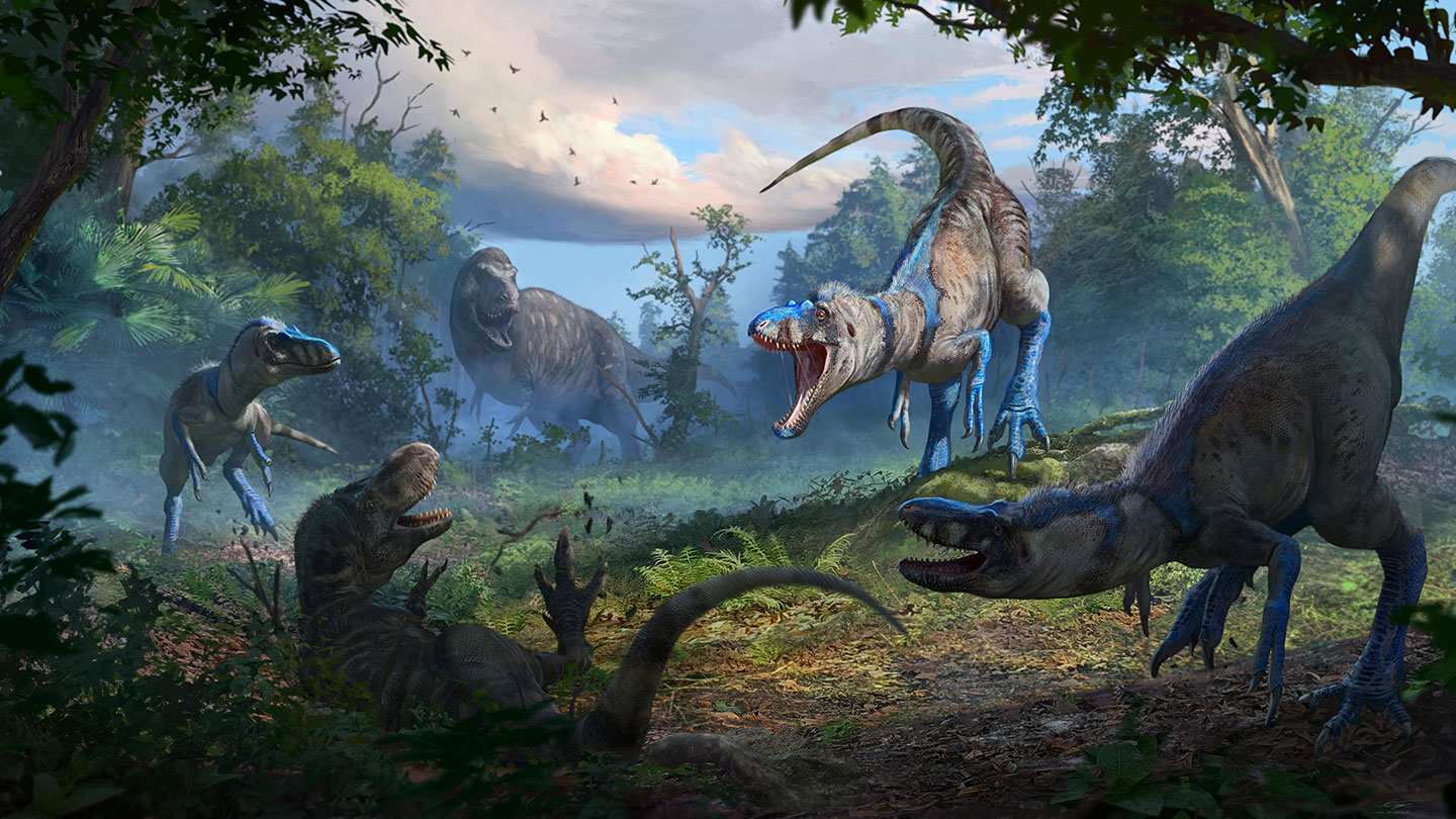 An illustration shows four T. rex looking dinos attacking a fifth in a jungly setting. The fallen dino is a juvenile T. rex and the four are a different diminutive species of tyrannosaur.