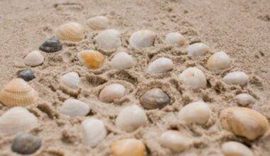 Goodbye to traditional concrete - scientists develop a sustainable material made from seashells that reduces environmental impact