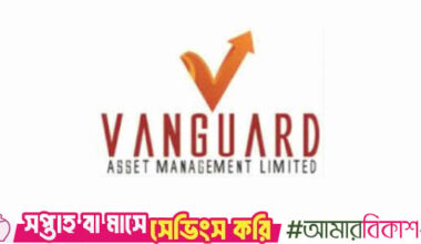 Narrow path to market recovery requires deep reforms, Vanguard warns