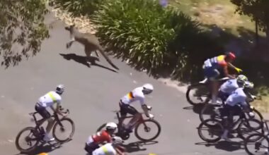 Aussie Cyclist Prevails After the 'Most Australian Crash'