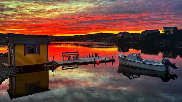 Your photos: Here are 25 scenes as shared by the audience from across N.L. in 2025