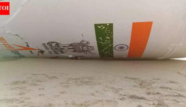 ‘LVM3 rocket debris’ washed ashore on Sri Lanka coast | India News