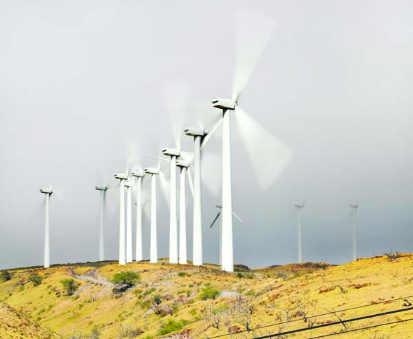 Kaheawa Wind Farm seeks new lease amid concerns over endangered species | News, Sports, Jobs